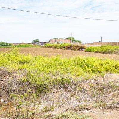 VENTA DE TERRENO DE 9315 M2 EN CARRETERA A PIMENTEL